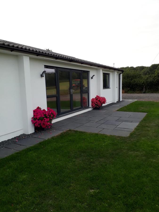 Foxholes Accommodation Felton  Exterior foto